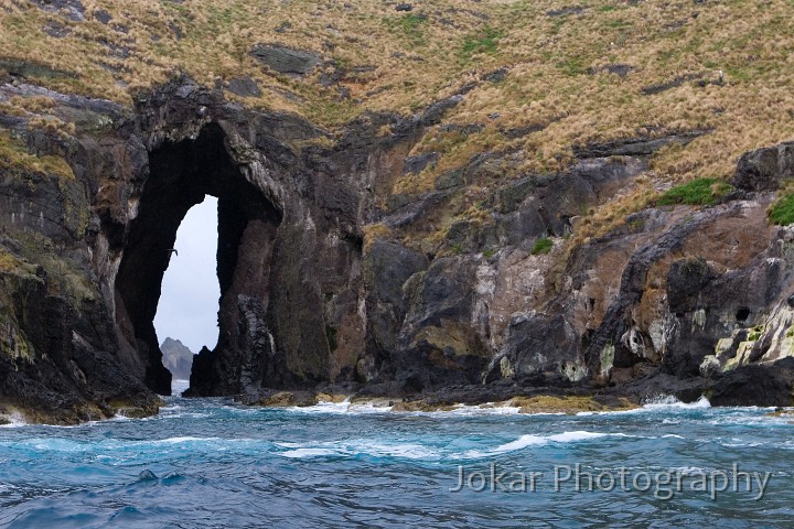 Lord Howe Island_20061213_146.jpg